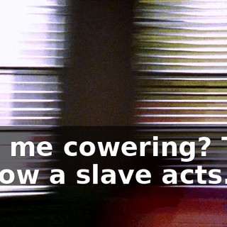 See me cowering? This is how a slave acts.