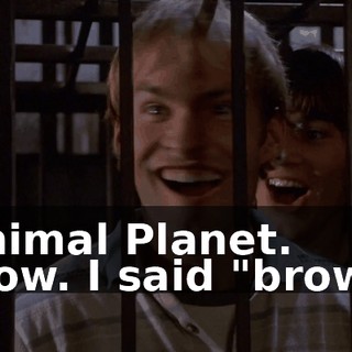 8e9787b8-e31a-4419-9618-4778982bb812.gif
