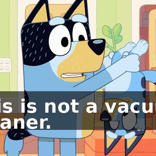 This is not a vacuum cleaner.