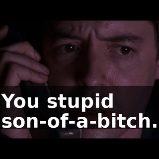 You stupid son-of-a-bitch.
