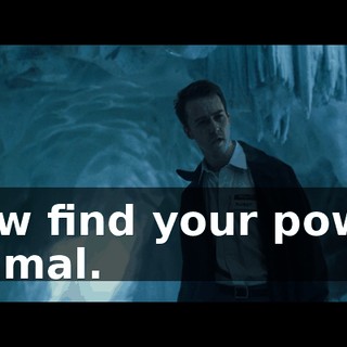 Now find your power animal.