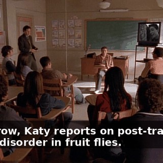 Tomorrow, Katy reports on post-traumatic stress disorder in fruit flies.