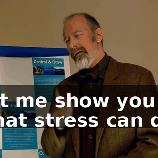 8ee4fe83-d029-4b5d-9049-629e0db0ec43.gif