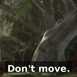 Don't move.