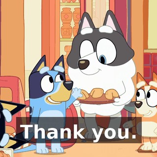 Thank you.