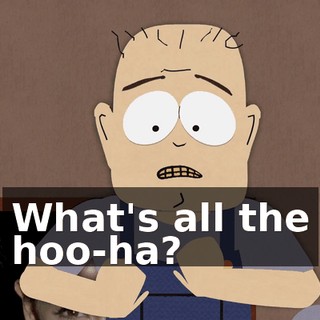 What's all the hoo-ha?