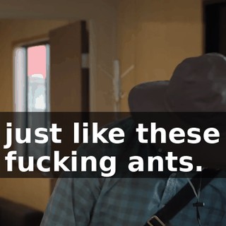 just like these fucking ants.