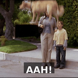 8f3c3ffb-e395-40a3-a27c-fc5461edf107.gif