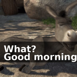 - What? - Good morning.