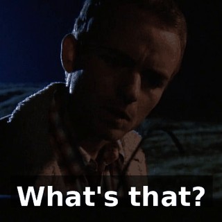 What's that?
