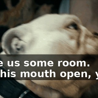 8ff11127-2131-4a1b-b149-ac2c10052958.gif