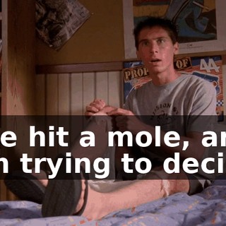 I've hit a mole, and I'm trying to decide