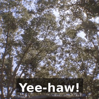 Yee-haw!