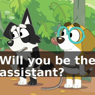 Will you be the assistant?