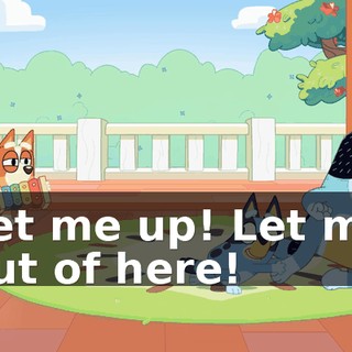 Let me up! Let me out of here!