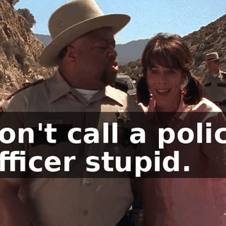 don't call a police officer stupid.