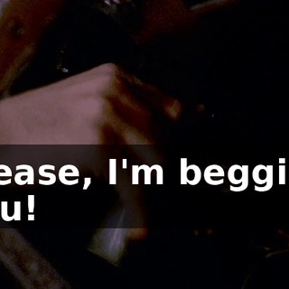 Please, I'm begging you!