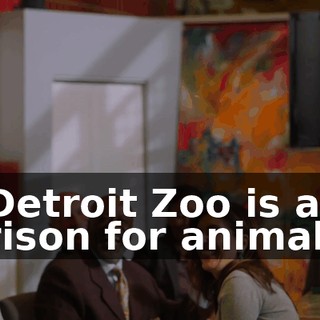 - Detroit Zoo is a prison for animals!