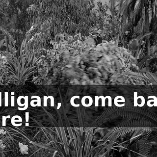 91ad03f9-84cd-46d1-a678-1c9ca4b4f838.gif