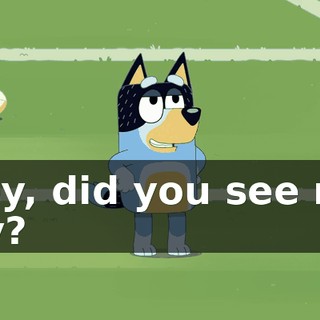 Hey, did you see my try?