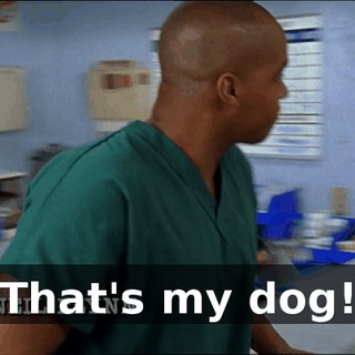 91d9bb24-23d9-46ea-a9ba-f960b928ad3e.gif