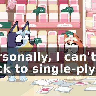 Personally, I can't go back to single-ply.