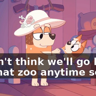 I don't think we'll go back to that zoo anytime soon.