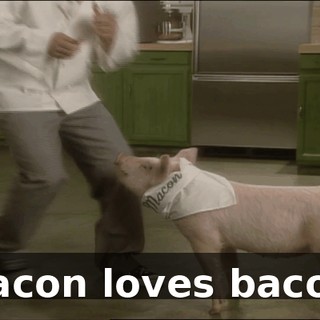 921b13d8-7f23-48af-aa99-ea1d90eb4f28.gif