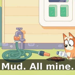 Mud. All mine.