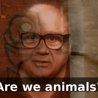 924786d2-b796-4a52-924b-db00803a125a.gif