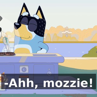 -Ahh, mozzie!