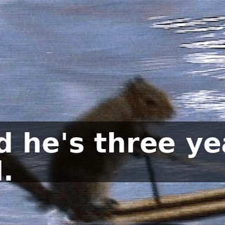 9256d1c4-6a2d-47f1-af4b-f27e8741eee6.gif