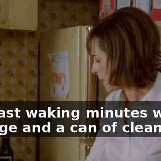 her last waking minutes with a sponge and a can of cleanser.