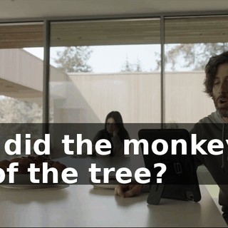 Why did the monkey fall out of the tree?