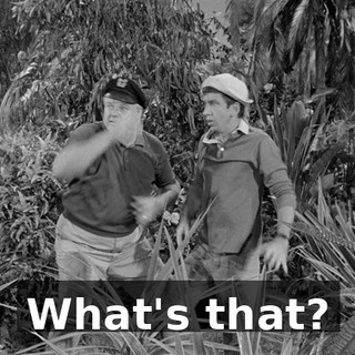 934c5c9a-d0d0-4a83-9f4c-5c522c87402f.gif