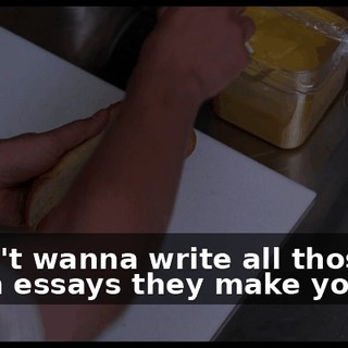 I don't wanna write all those extra essays they make you do.