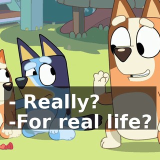 - Really? -For real life?