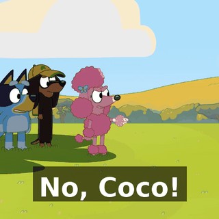 No, Coco!