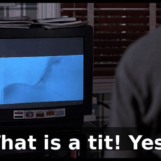 That is a tit! Yes!