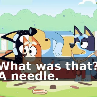 -What was that?! -A needle.
