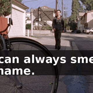 I can always smell shame.