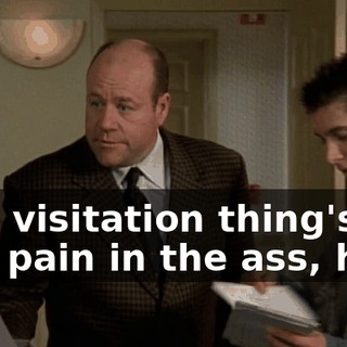 This visitation thing's a real pain in the ass, huh?