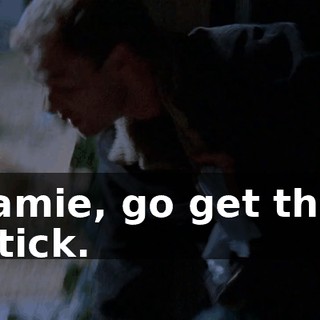 Jamie, go get the stick.