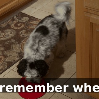 946b368e-6642-4846-8c75-aee96bb1c118.gif