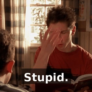 Stupid.