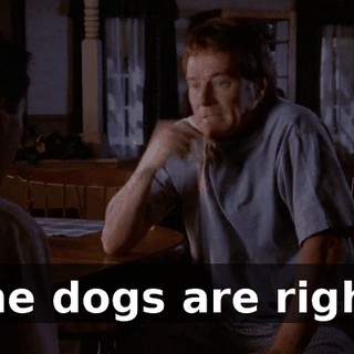 The dogs are right.