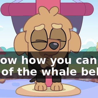 94cfc1b0-4b5b-4c18-bb8a-464b7c83dea3.gif