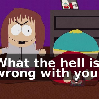 What the hell is wrong with you?