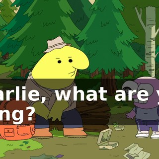 Charlie, what are you doing?