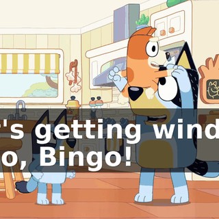 -It's getting windy! -Go, Bingo!